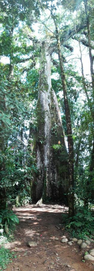 Posada Rural Rio Celeste Katira Buitenkant foto