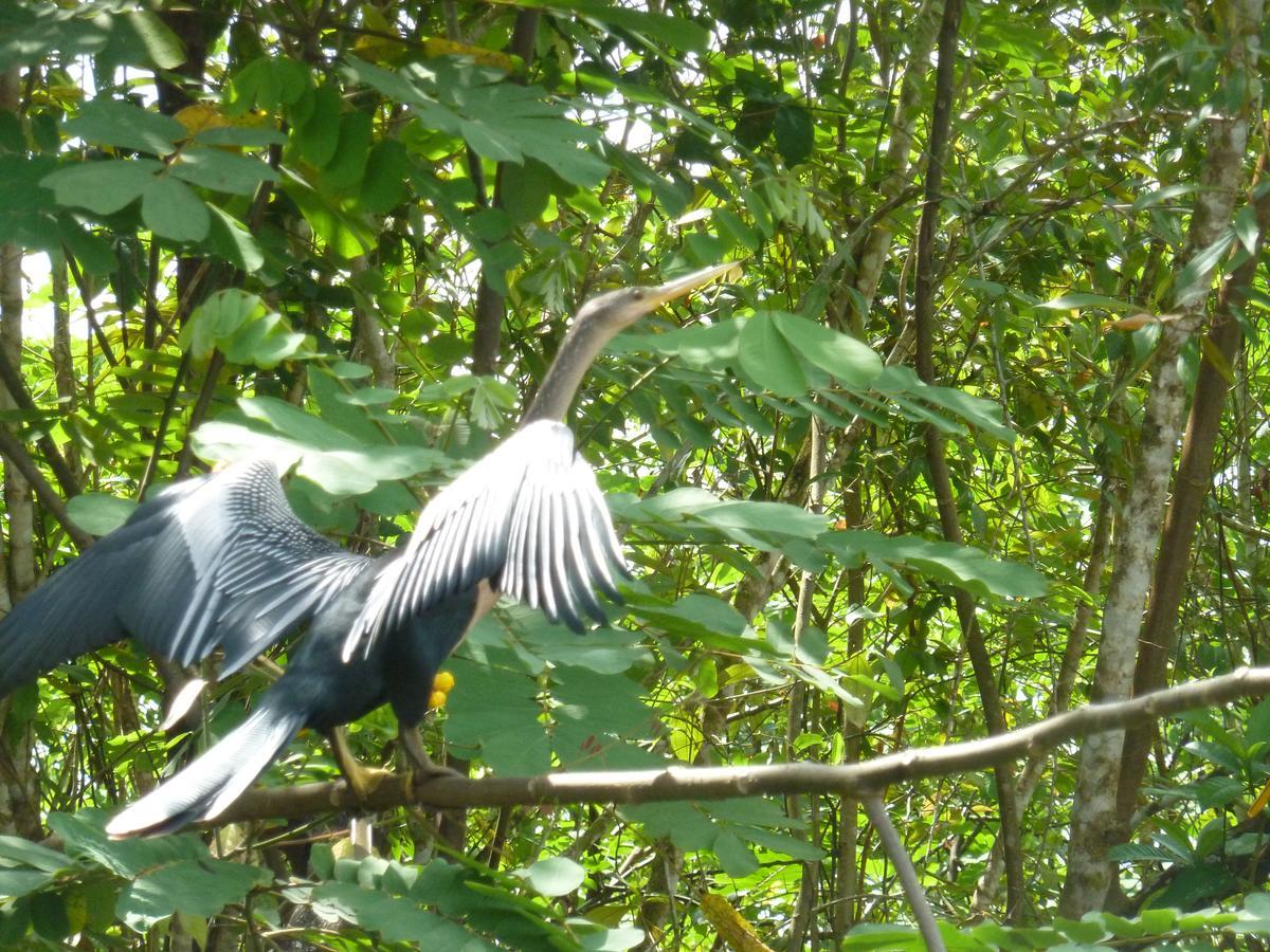 Posada Rural Rio Celeste Katira Buitenkant foto